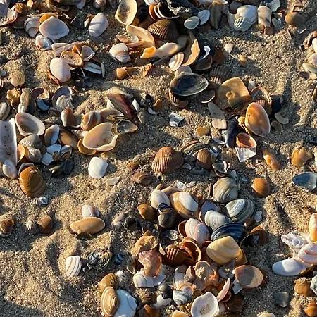 Apartment Patsiehome *