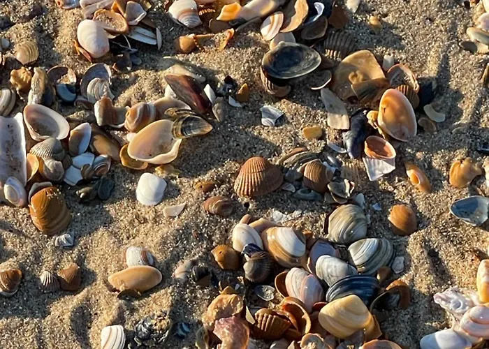 Appartement Patsiehome *