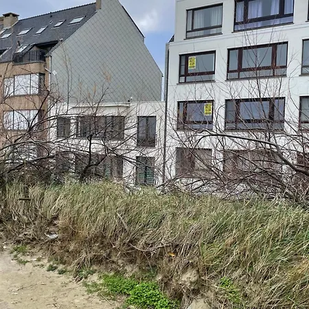 公寓 Patsiehome 奥斯滕德